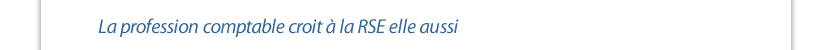 La profession comptable croit à la RSE elle aussi 